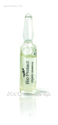 Bio protect (Organic Essence) vegán 3ml - Santana