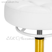 Munkaszék Gázpumpás - fehér-arany - E-SHOP ELKONcosmetic Kft.