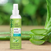 Eredeti Aloe Vera spray 100ml - ALVEOLA ELKONcosmetic Kft.