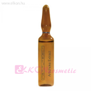 Artichoke Extract 5ml ampulla - BCN