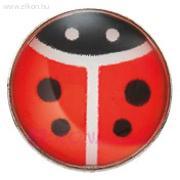 5mm Novelty Katicabogár, Natúr Fülbevaló - STUDEX