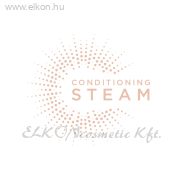 Steam Straight kerámia lapos gőzölős hajvasaló (39x110mm) - BaByliss ELKONcosmetic Kft.