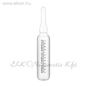 SYIS Amino-Complex 10 x 3ml - E-SHOP ELKONcosmetic Kft.